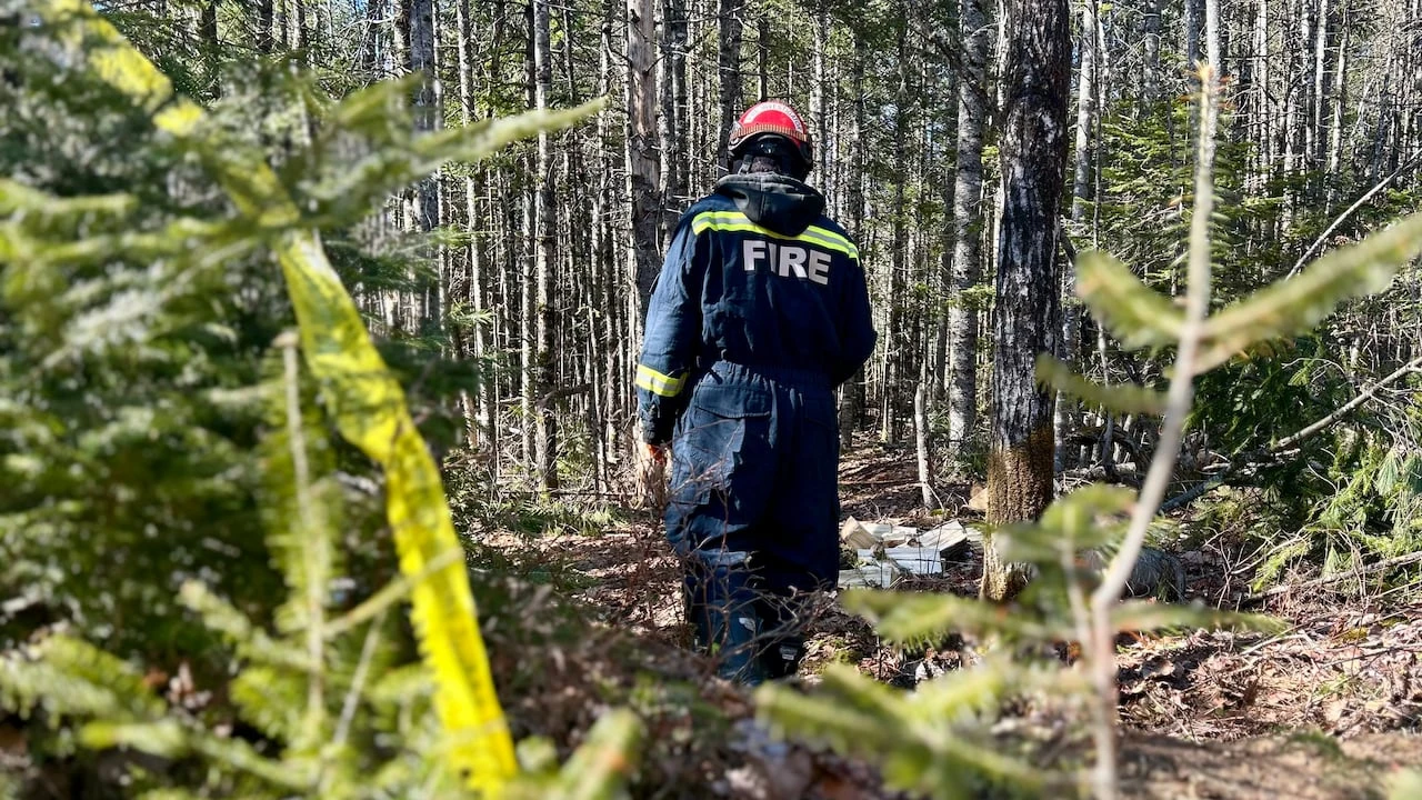 Police identify woman whose remains were found after encampment fire