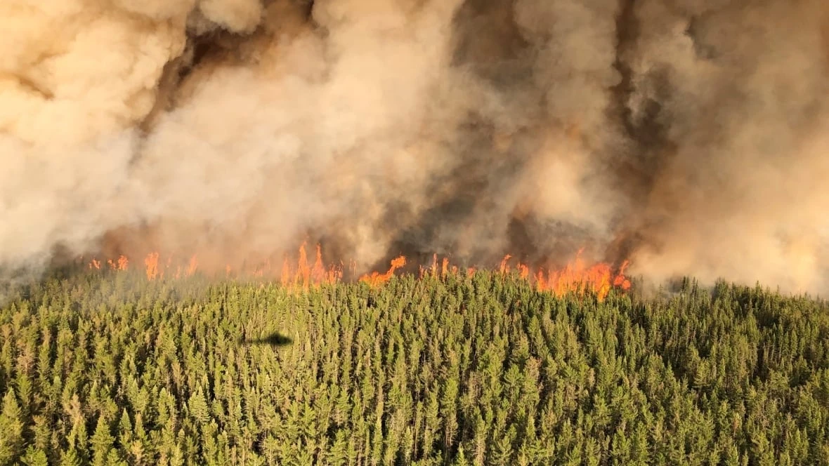 Why are forest fires getting more frequent, intense in northern Ontario?