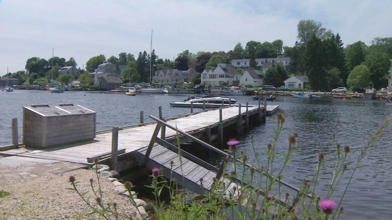 Chester village residents worry new density could worsen water issues