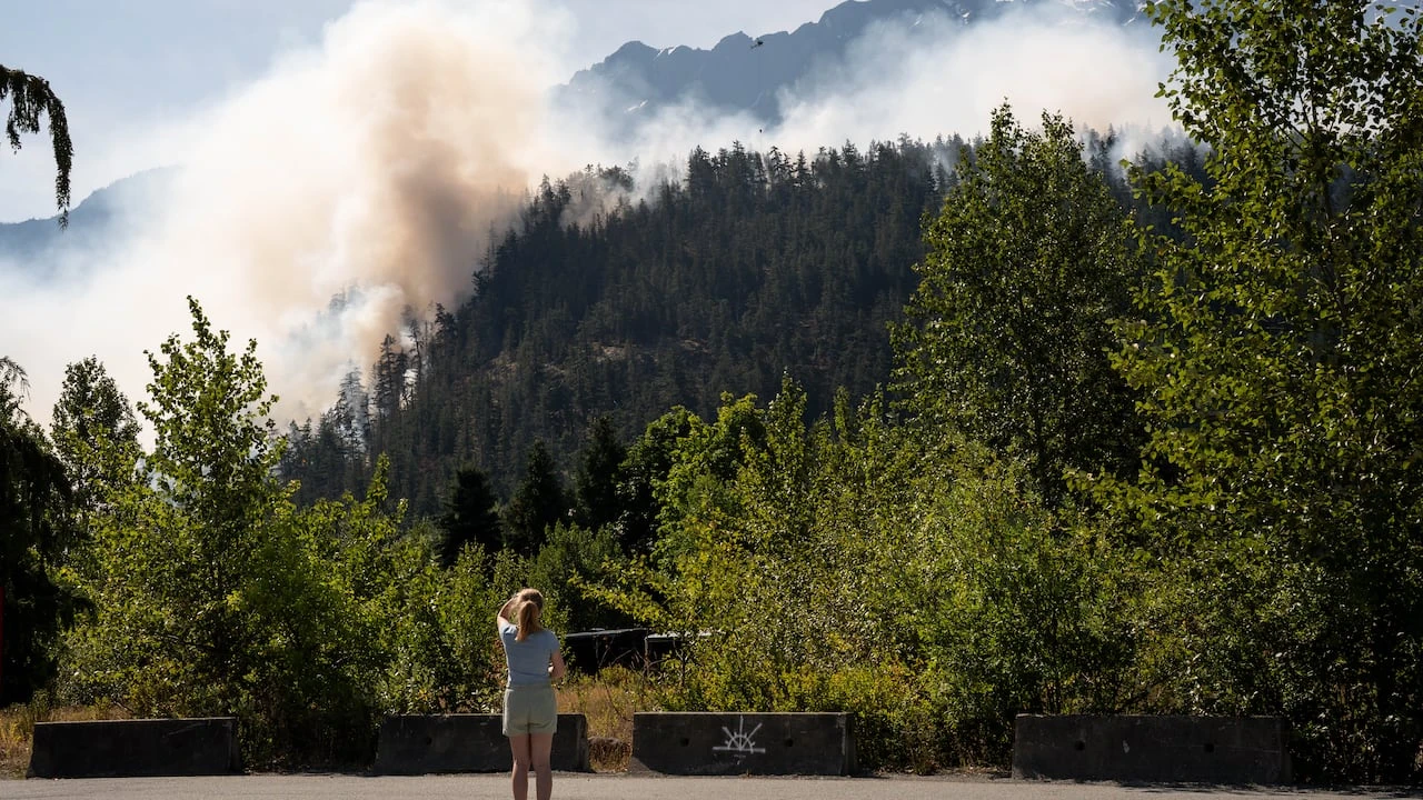 Number of wildfires more than doubles after lightning strikes across B.C.