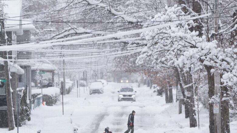 Some schools in Nova Scotia closed as snowfall approaches