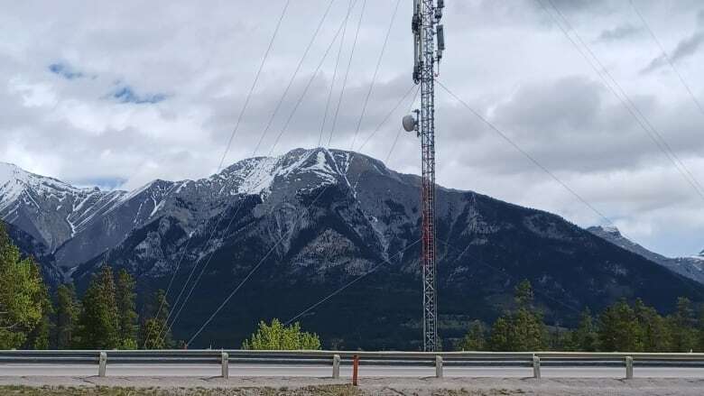 Not enough traffic — or speed — on Alberta's internet 'highway,' critics complain