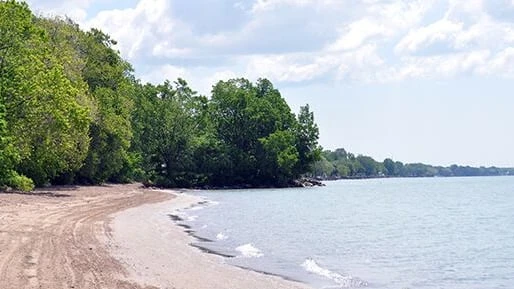 Health unit warns against swimming at 5 area beaches due to elevated e.coli levels
