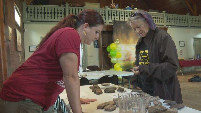 Islanders travel back in time at provincial museum foundation's Fossil Day