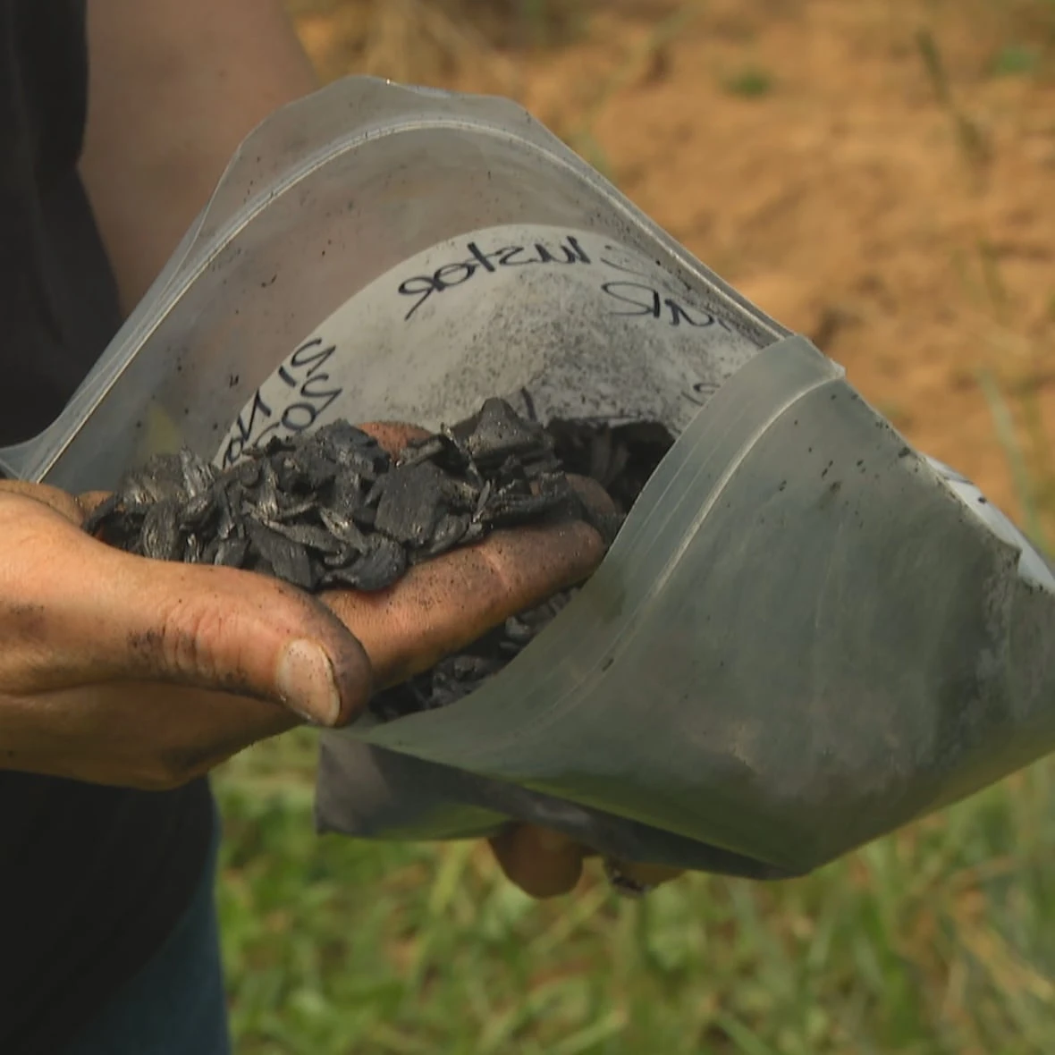 Can charred wood help Nova Scotia farmers — and the climate?