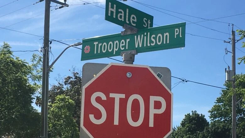 London's Trooper Wilson Place is heading for renaming, Plantation Road is not