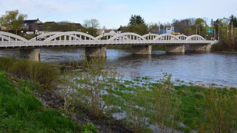 Police continue search for 2 people seen in distress on Grand River Saturday night
