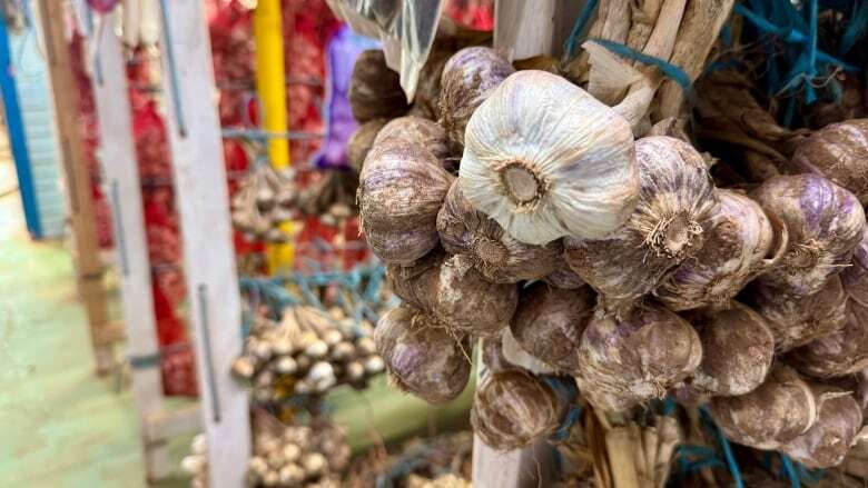 Leek moth poses threat for garlic, onion growers on P.E.I.