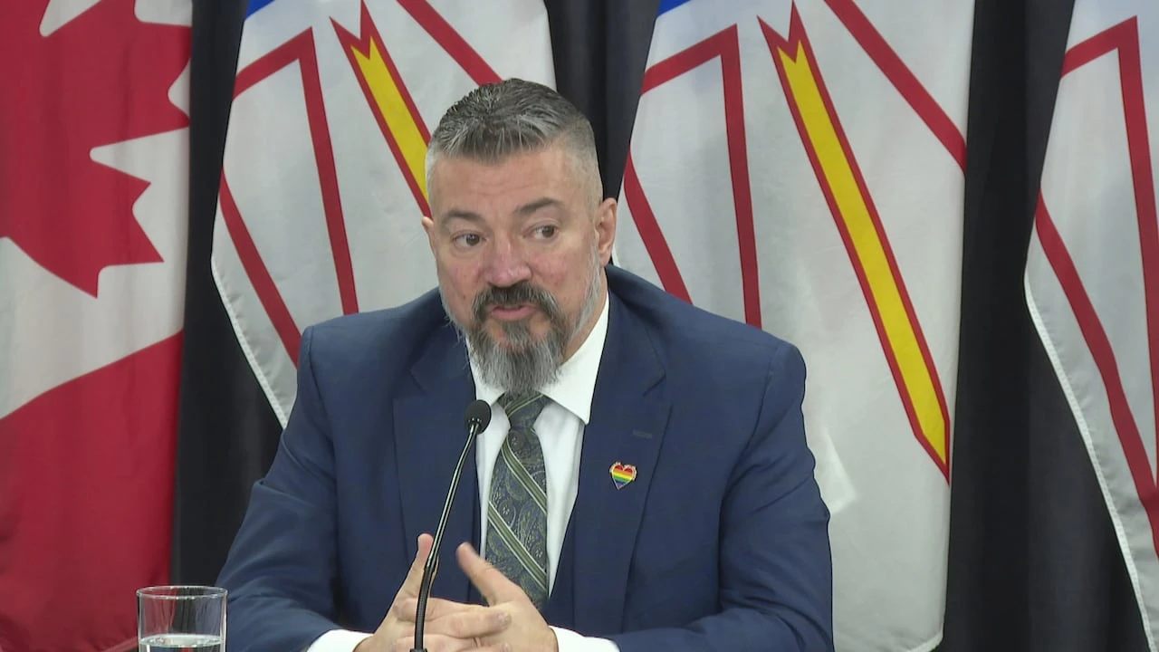 N.L. government pitching gas developments for energy future