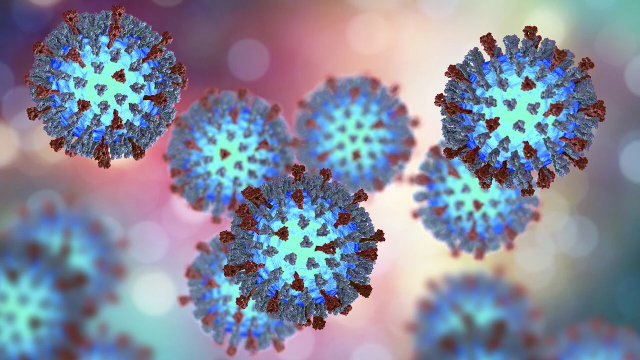 3 measles cases detected in Lanaudière region as Quebec outbreak continues