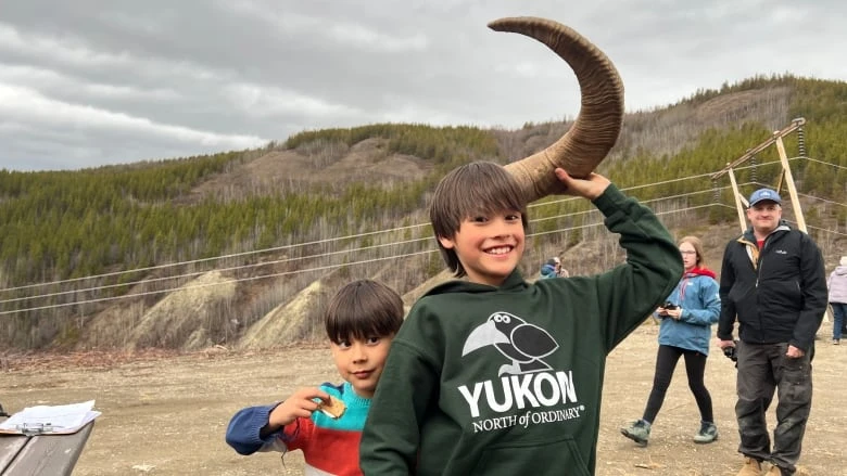 Wings, wool and wonder: Faro celebrates annual crane and sheep festival