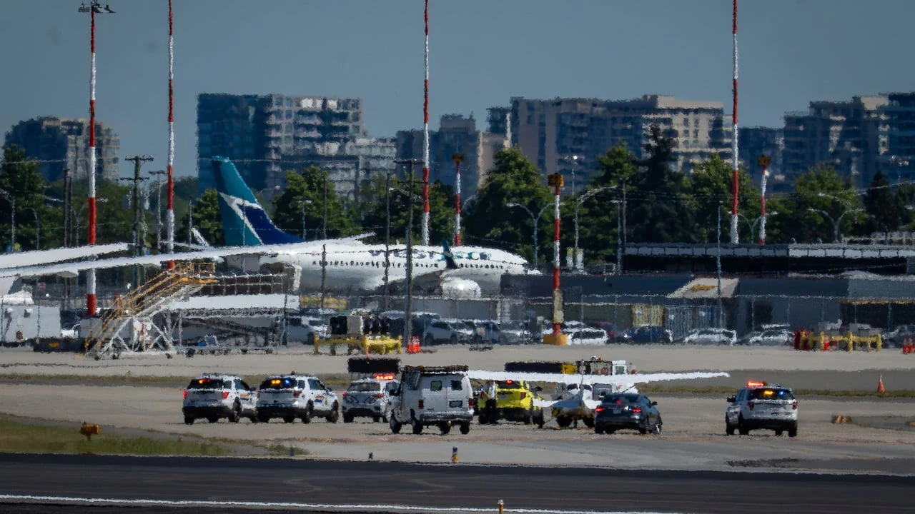 Former commercial pilot pleads guilty in hijacking of small plane in B.C.