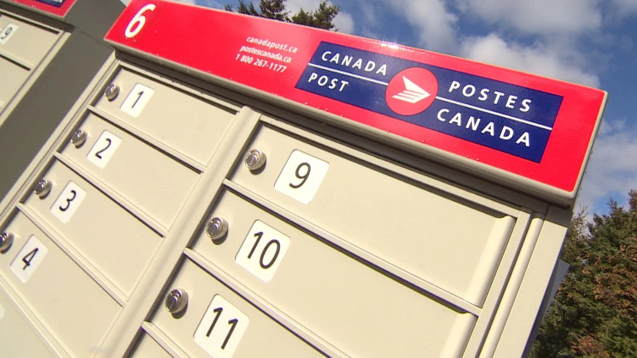 Racist graffiti on community mailbox highlights need for anti-racism work in N.S.