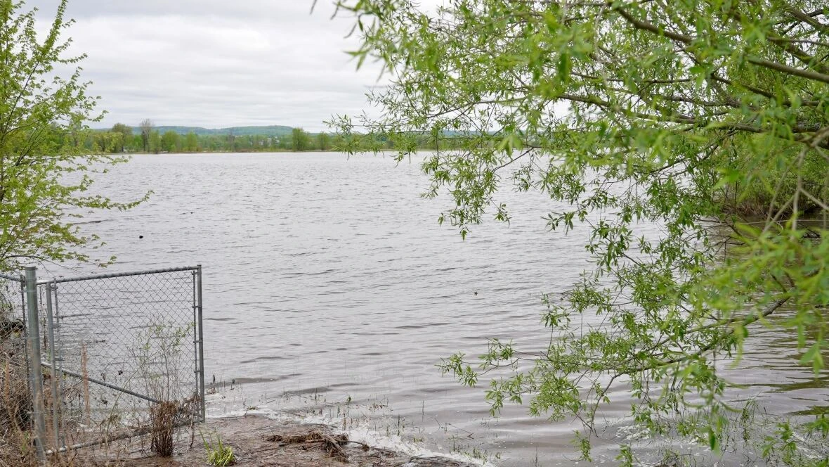 OPP investigating body pulled from Ottawa River as homicide
