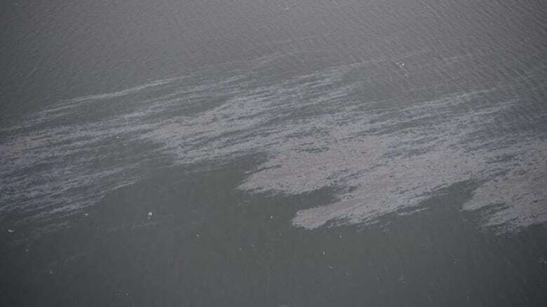 Province not effectively managing hazardous spills, says B.C.'s auditor general