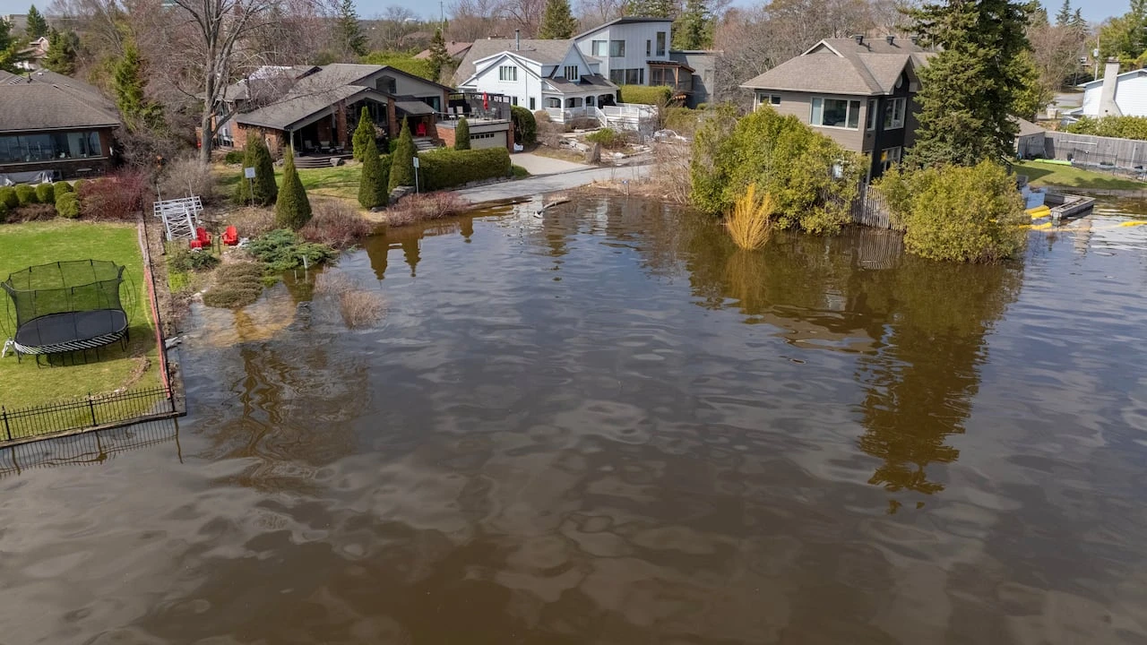 Ottawa River food watch: Here's the latest