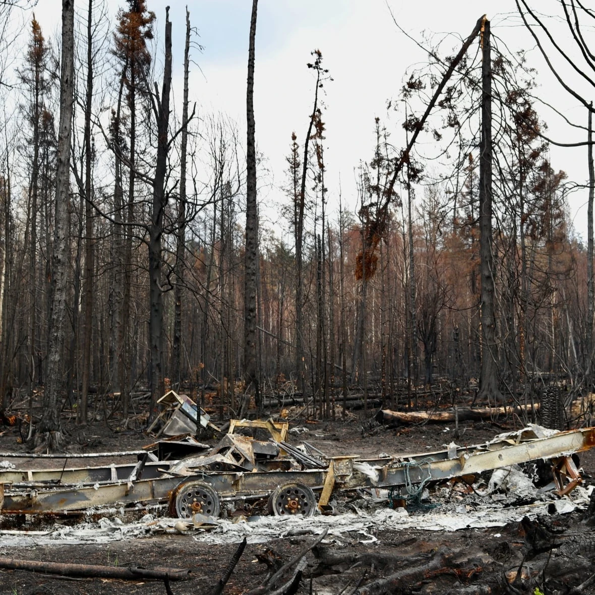 After the firestorm: Loss and hope in Saskatchewan's scorched north