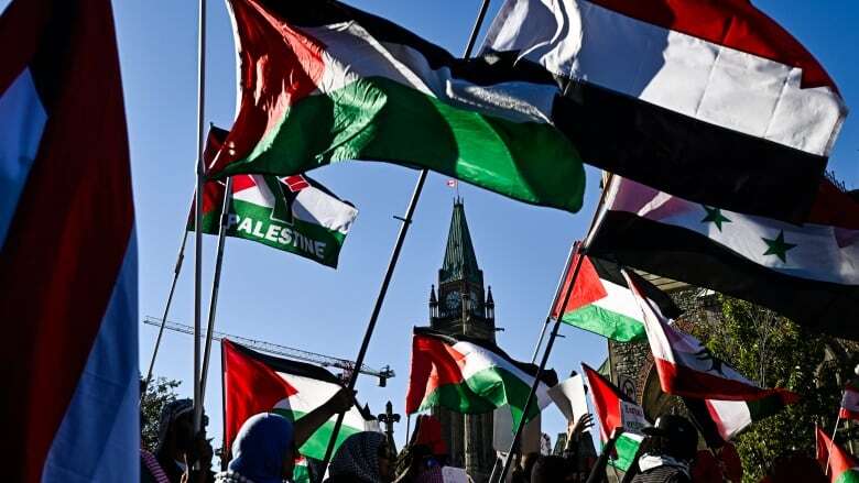 Canadian MPs join international push for recognition of Palestinian state