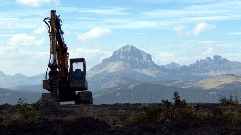 Rocky Mountain coal hearings still scheduled despite top court allowing appeal