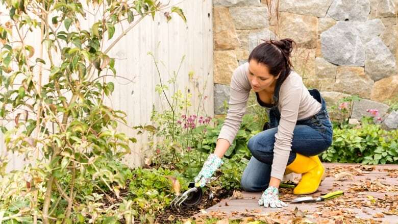 Have a fall gardening question? Ask it on London Morning!