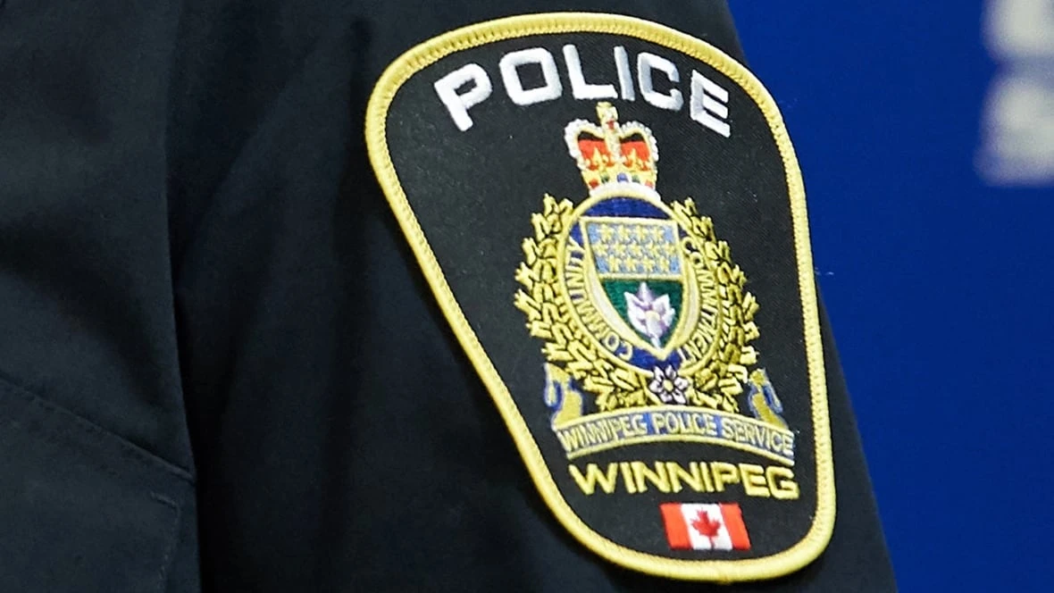 2 cats, kitten removed from home of Winnipeg man charged with bestiality