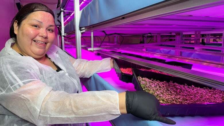 Can we grow veggies designed to combat diabetes? Manitoba researcher team hopes so