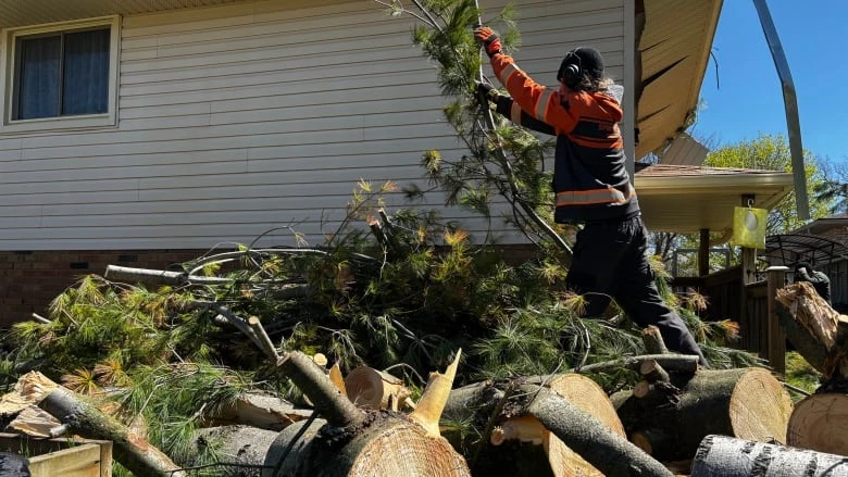 Crews busy cleaning up toppled trees after destructive London storm