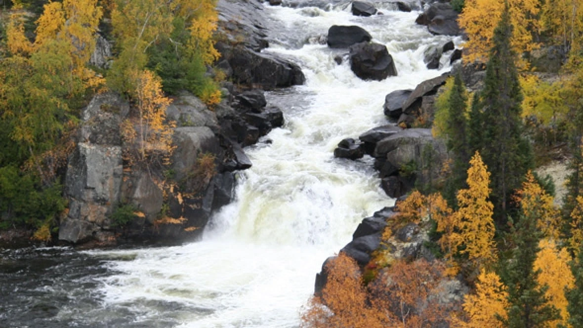 N.W.T. making good progress on conservation goals, auditor general finds