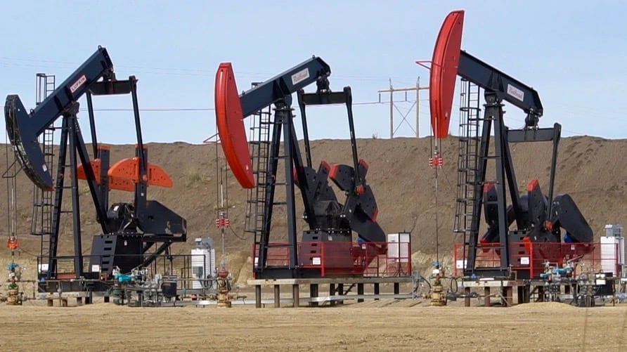 Oil and fuel prices to remain high throughout the year: Deloitte report