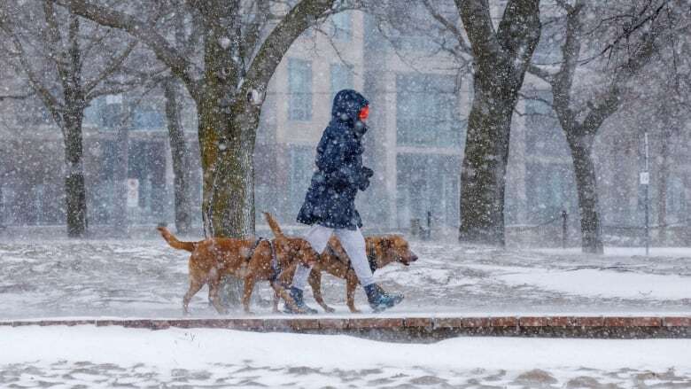 Winter weather travel advisory issued for GTA with snow expected overnight Tuesday