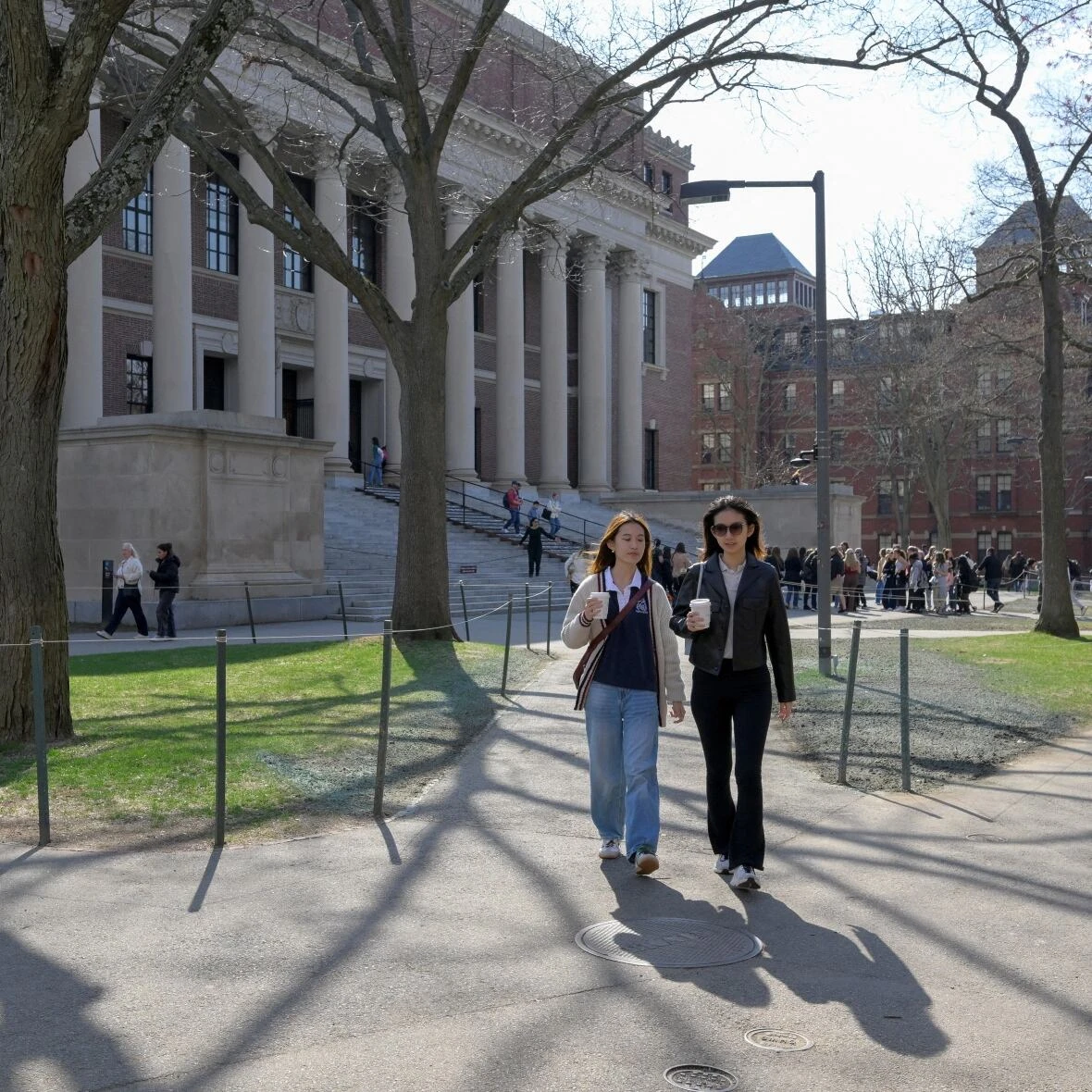 'The most devastating news' — Canadian Harvard students grapple with Trump's ban