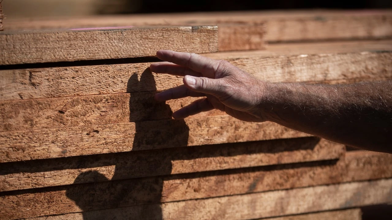 With Canada's timber industry in crisis, forests ministers agree old methods won’t work