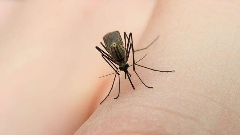 OPH confirms city's 1st human case of West Nile virus this year