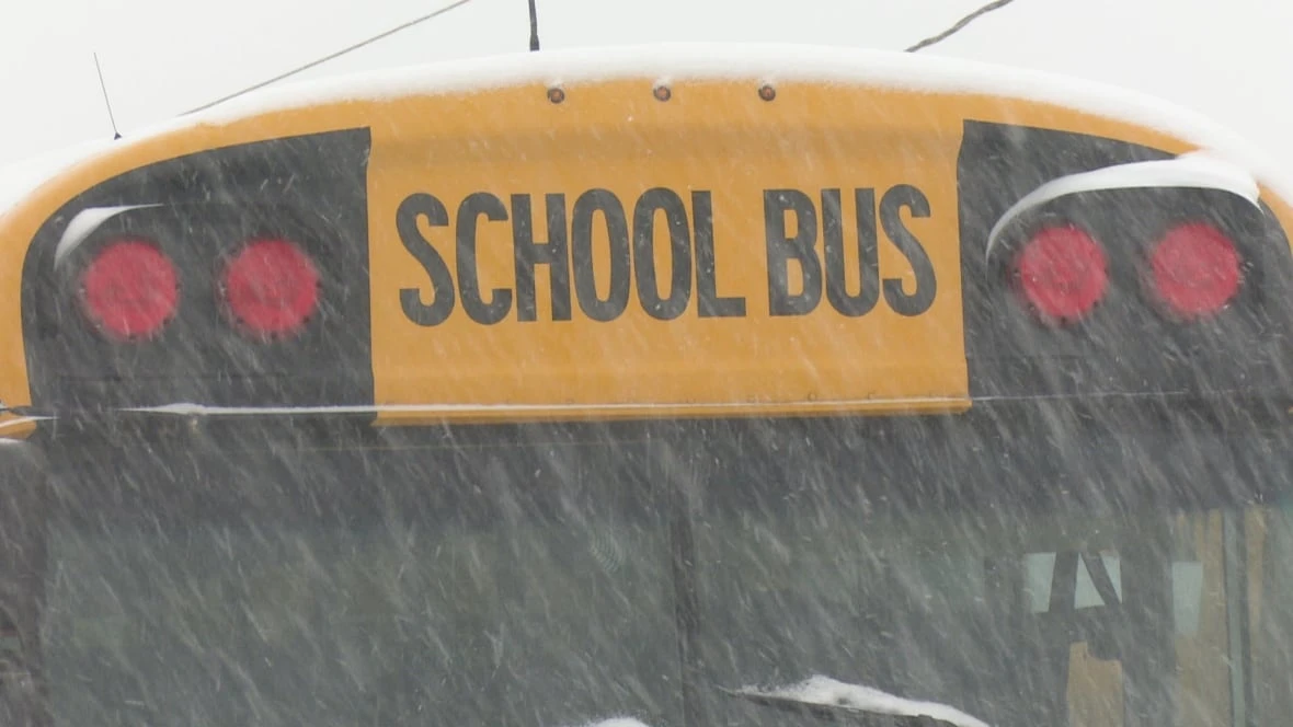 Essex County morning school buses cancelled due to fog; buses still running in City of Windsor
