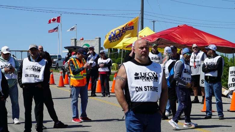 Workers at Guelph's Cargill plant to return to work Monday