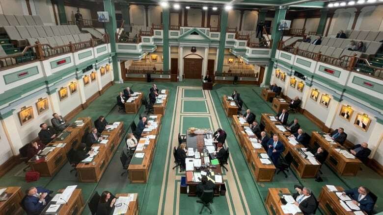 Liberal leadership race casts shadow over beginning of new House of Assembly session