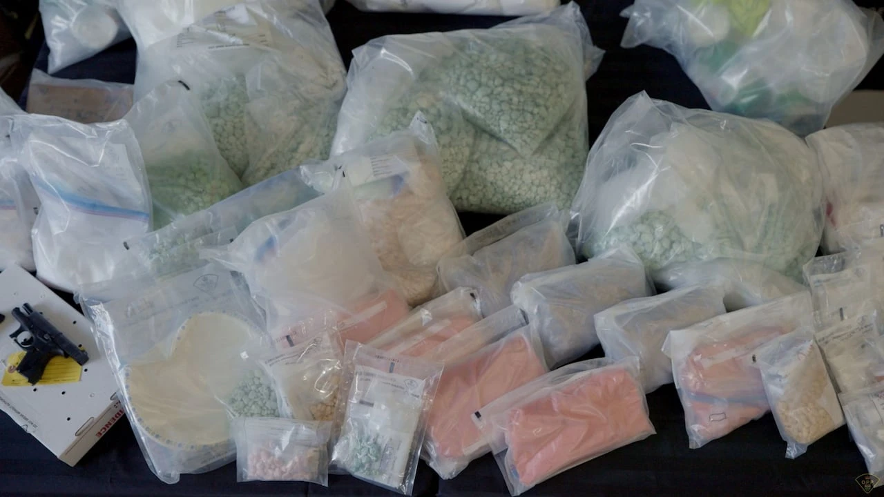 OPP say their largest ever fentanyl bust was in Windsor