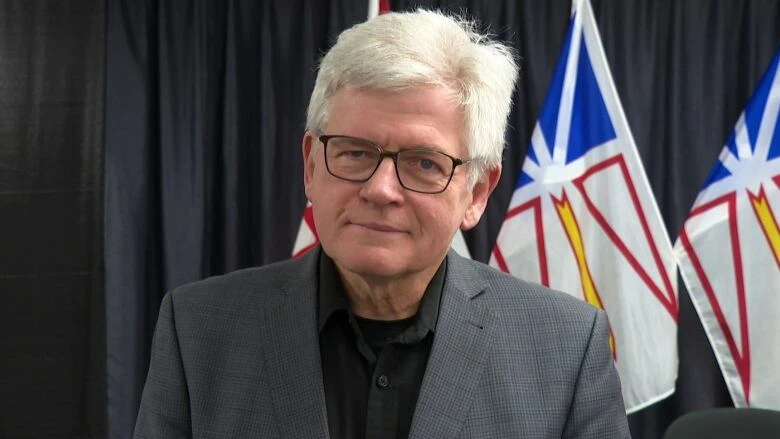 NDP Leader Jim Dinn says government's think-tank plans won't stop teachers from quitting