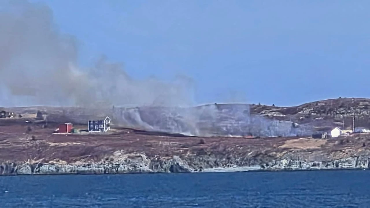 Heart's Content, New Perlican implement fire ban after brush fires in nearby towns
