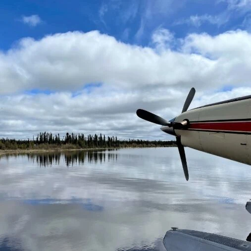 Man, 25, dies after bear encounter in northern Saskatchewan