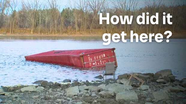 Container full of teddy bears washes up on Montreal-area riverbank