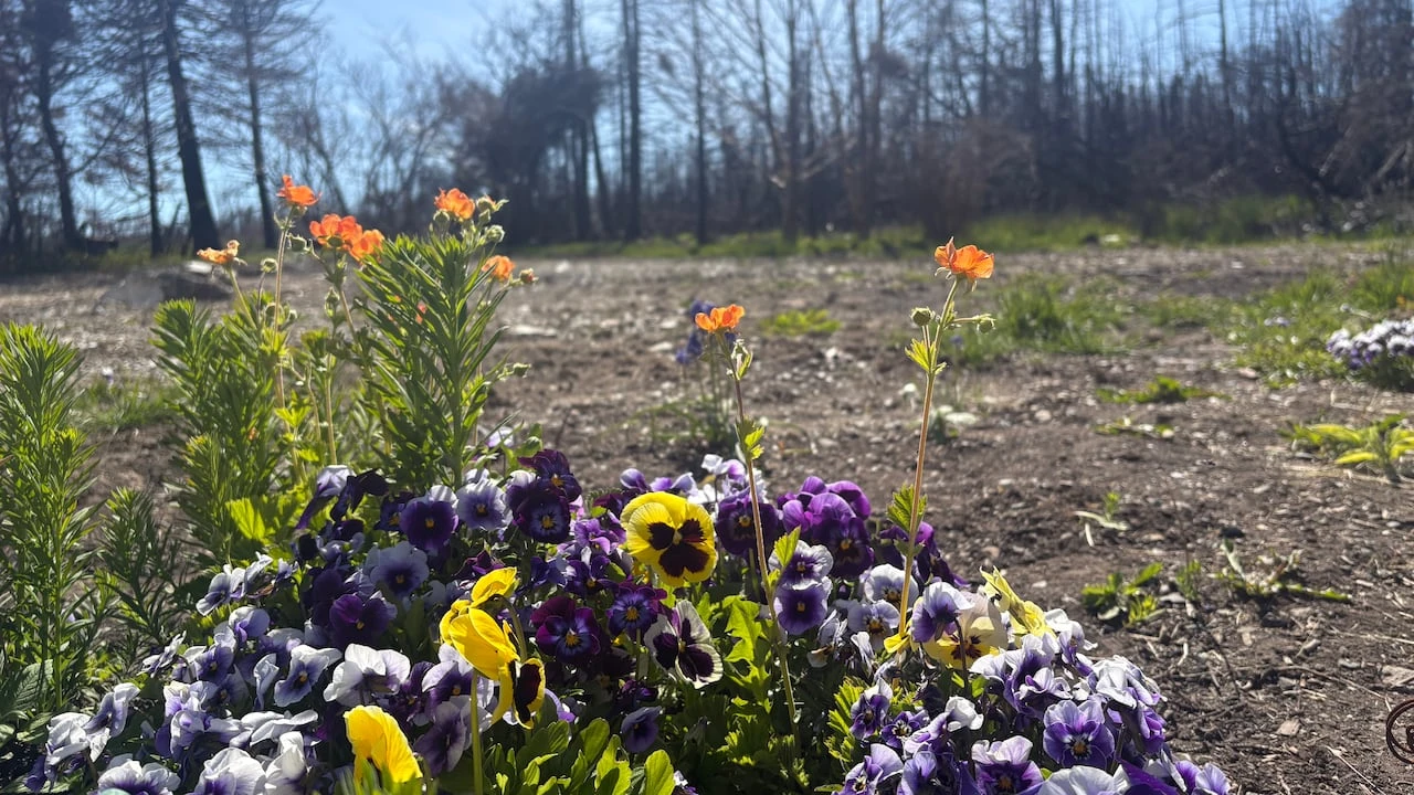 'We're just moving forward’: rebuilding efforts carry on almost a year after Kingston fire
