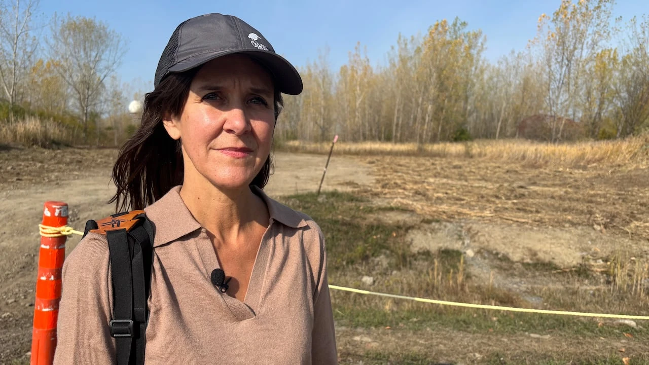 Destruction of marshland near Trudeau airport stuns conservation group