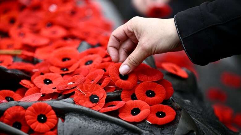 How Remembrance Day and politics collided — and what it means for the future