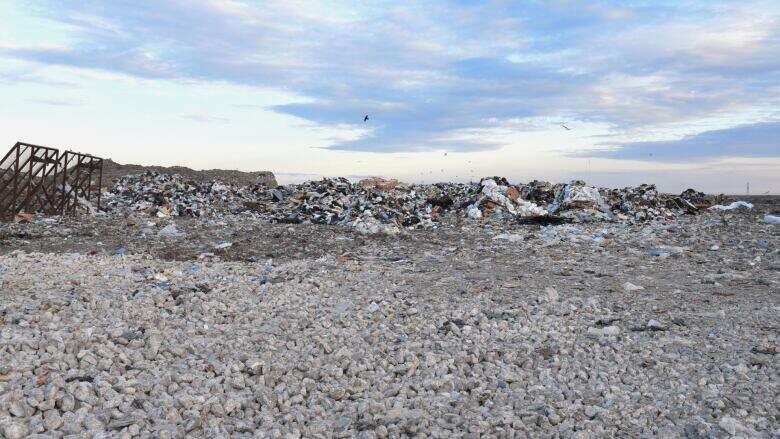 Discovery of remains in garbage bin led investigators to Winnipeg landfill, serial killer's trial hears