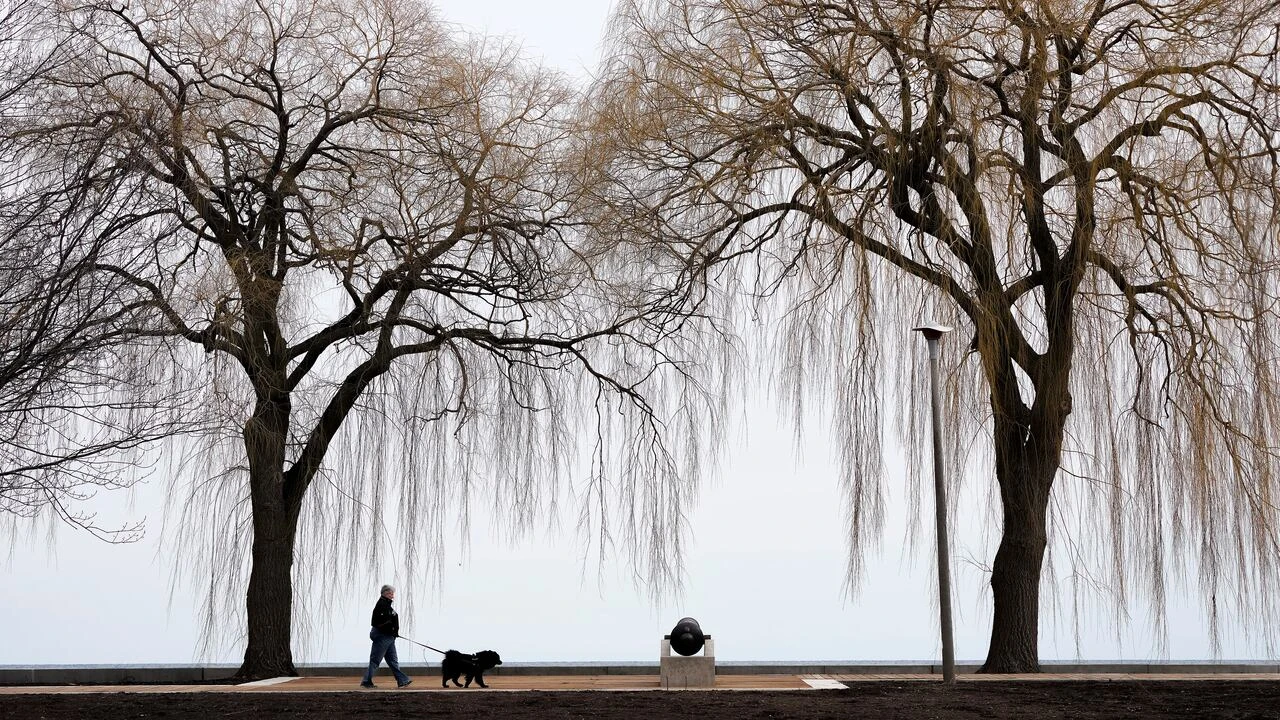 It may not feel like it, but warmer temperatures are right around the corner: meteorologist