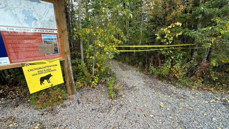 Popular Yellowknife-area hiking trail closed after wolf attack