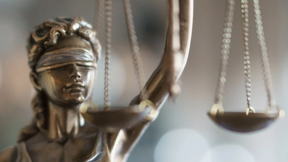 Man pleads guilty to crosswalk collision that killed Dalhousie student in Halifax