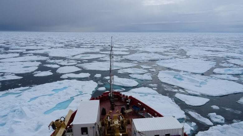 Ship traffic steadily increasing in Canadian Arctic waters, researchers say