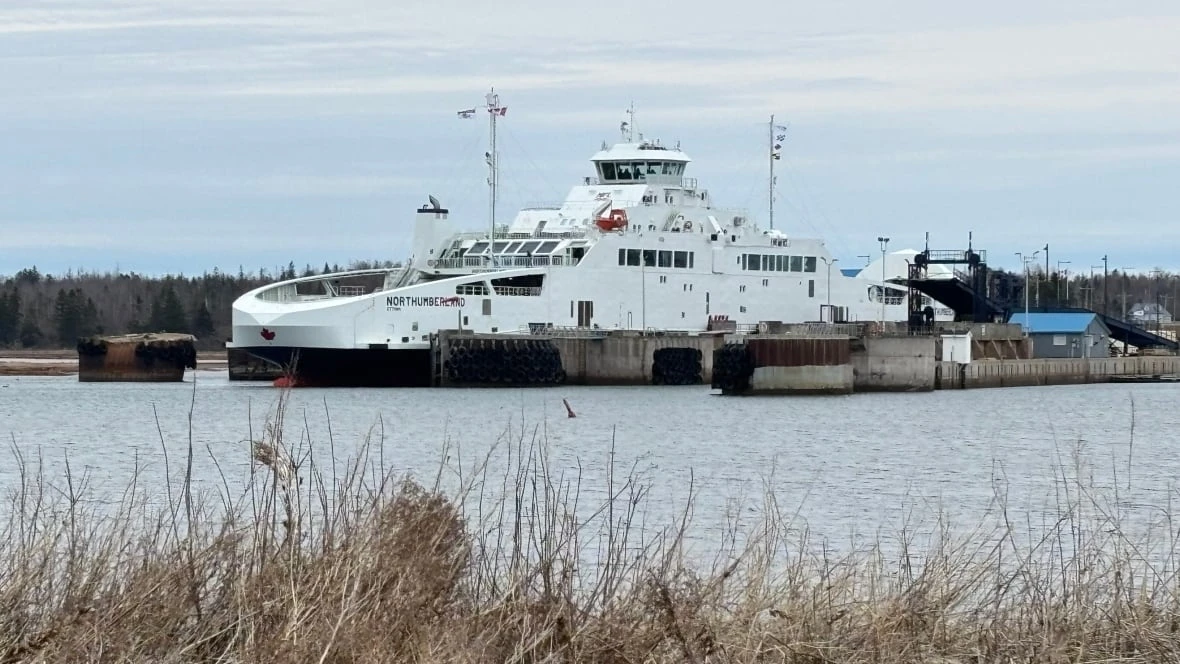 Transport Canada 'pledging to dredge' Wood Islands Harbour, says P.E.I. MP